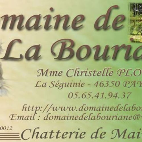 Eleveur : domaine de la bouriane