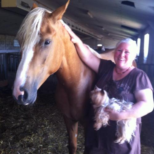 Eleveur : Schaarm-Elevage