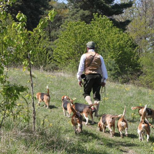 Elevage de Mont Joui