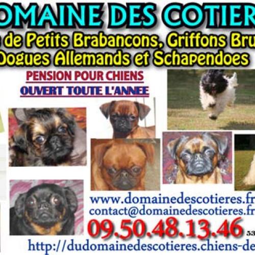 Eleveur : DOMAINE DES COTIERES