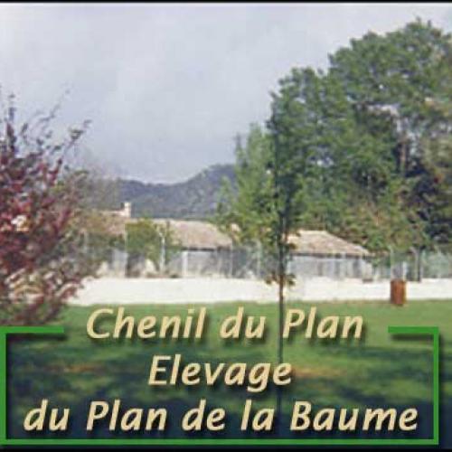 Eleveur : ELEVAGE DU PLAN DE LA BAUME