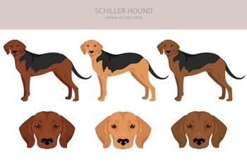 Chien Courant De Schiller