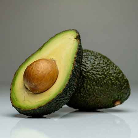 Avocat et noix de macadamia toxiques pour chiens et chats