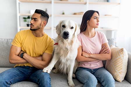 Un couple séparé assis de part et d’autre de son chien