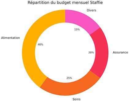 Répartition du budget mensuel Staffie